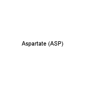 Aspartate (ASP)